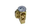 Conditioning system valve AC110519