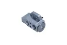 Conditioning system valve AC193039