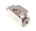 Conditioning system valve AC130156