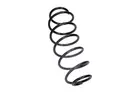 Front spring 60-0362