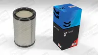 Filtras oro CAF100456C
