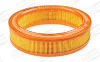 Filtras oro CAF100145R