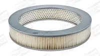 Filtras oro CAF100120R