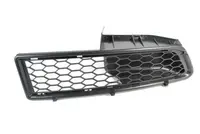 Lattice for front bumper 6502-07-1301992P