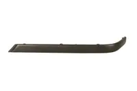 Molding 5513-00-0060972P