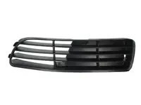 Lattice for front bumper 6502-07-0018995P
