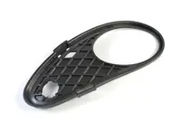 Lattice for front bumper 5512-00-3515996P