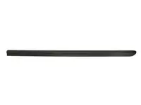 Molding 5703-04-2042571P