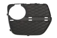 Lattice for front bumper 6502-07-0099914P