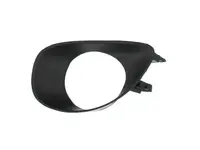Lattice for front bumper 5510-00-8155995P