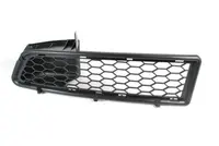 Lattice for front bumper 6502-07-1301991P
