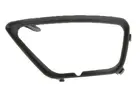 Lattice for front bumper 5410-01-2532907P