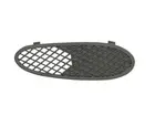 Lattice for front bumper 6502-07-3517912P