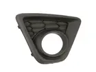 Lattice for front bumper 6502-07-3495916P