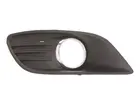 Lattice for front bumper 6502-07-2533997CP