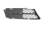 Lattice for front bumper 6502-07-0062996P