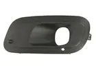 Lattice for front bumper 6502-07-2009917P