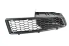 Lattice for front bumper 6502-07-1301992P