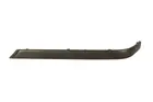 Molding 5513-00-0060972P