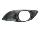 Lattice for front bumper 5510-00-8155998P