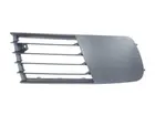 Lattice for front bumper 6502-07-6609998P