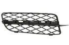 Lattice for front bumper 6502-07-0096928P
