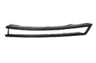Lattice for front bumper 5703-05-9540921P