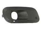 Lattice for front bumper 6502-07-2009918P