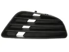 Lattice for front bumper 6502-07-2564998P
