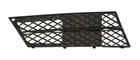 Lattice for front bumper 6502-07-0066996P