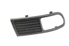 Lattice for front bumper 6502-07-66079952P