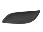 Lattice for front bumper 5510-00-8155997PP