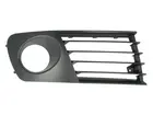 Lattice for front bumper 6502-07-6609998PP