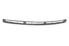 Lattice for front bumper 6502-07-5051997P