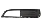 Lattice for front bumper 6502-07-5079916Q