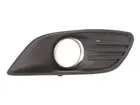 Lattice for front bumper 6502-07-2533998CP