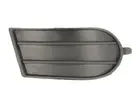 Lattice for front bumper 6502-07-6814912P
