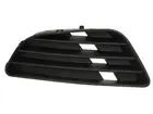 Lattice for front bumper 6502-07-2564997P
