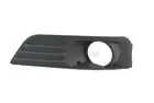 Lattice for front bumper 6502-07-2533996P