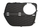 Lattice for front bumper 6502-07-0099913P