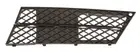 Lattice for front bumper 6502-07-0066995P