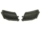 Lattice for front bumper 5513-00-5519920P