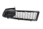 Lattice for front bumper 6502-07-1301991P
