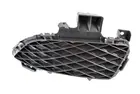 Lattice for front bumper 6502-07-3476923P