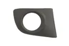 Lattice for front bumper 5513-00-1609996P