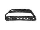 Lattice for front bumper 6502-07-3514918P