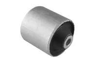 Įvorė galinės pakabos 00083910