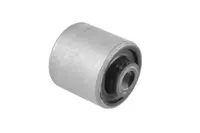 Įvorė galinės pakabos 00392934