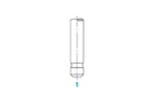 Exhaust valve 0207