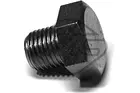 Oil drain plug 02490
